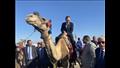 السفير الياباني يتجول بالجمل 