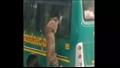 نمر يقفز  في الباص