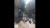 انهيار منزل بمنفلوط  