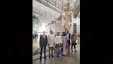 المتحف المصري الكبير يستقبل وزير خارجية بوركينا فاسو وعمدة طوكيو 