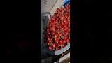 إعدام 14 طنًّا من الأغذية الفاسدة 