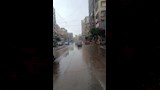 أمطار المكنسة مستمرة على الإسكندرية (2)_4