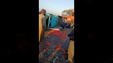 حادث انقلاب سيارة محملة بالطماطم