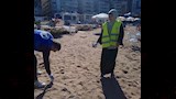 تنظيف شواطئ الإسكندرية 