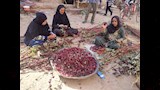 الذهب الأحمر يلون صعيد مصر.. أسرار زراعة وحصاد الكركديه في قنا -صور