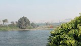 الجزر النيلية في المنيا (8)