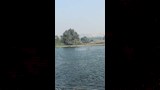 الجزر النيلية في المنيا (4)