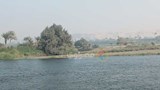 الجزر النيلية في المنيا (5)