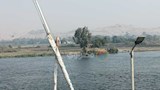 الجزر النيلية في المنيا (6)