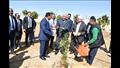 وزير التعليم العالي يغرس نخلة في حديقة 30 يونيو بالوادي الجديد (2)