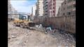 رفع أكوام القمامة من مسار مترو الإسكندرية (11)