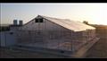 بدعم من السفارة اليابانية ومؤسسة ساويرس.. افتتاح مجفف الخضروات بالطاقة الشمسية في الأقصر