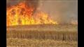 حريق ارض زراعية ارشيفية