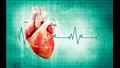 ضربات القلب