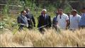 رئيس جامعة المنيا يفتتح موسم حصاد القمح لسلالات عالية الإنتاجية 