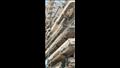 سقوط أجزاء من عقار على كورنيش الإسكندرية.. والحي يجلي السكان-صور