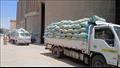 سنابل الخير.. هكذا يجري توريد القمح من المزارعين للصوامع في المنيا- فيديو وصور