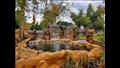 5 حدائق بديلة لحديقة حيوان الجيزة المغلقة لقضاء "شم النسيم" -(صور)