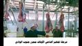 بدء ذبح وتجهيز لحوم أضاحي الأوقاف 