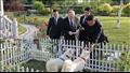 هدية الرئيس الكوري لنظيره الروسي.. ماذا تعرف عن كلاب بونجسان النادرة؟