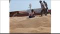 الحجر الزراعي يواصل إجراءات فحص القمح 
