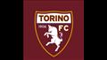 نادي تورينو الإيطالي