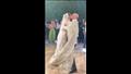 قبلة احمد حافظ لزوجته جميلة عوض