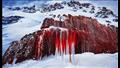 بالصور.. ما سر شلالات الدم في القارة القطبية الجنوبية؟