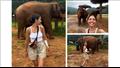 مي الغيطي تستعيد ذكريات زيارتها مركز لإنقاذ الأفيال في تايلاند