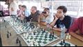 بالصور.. مكفوفون يتحدون أصحاء في بطولة للشطرنج بالغربية 
