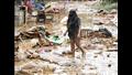 الأعنف منذ سنوات.. صور وفيديوهات ترصد دمار إعصار غايمي في 3 دول