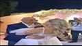 رقص حسام حسن مع ابنته في حفل خطوبتها 1