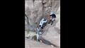 بالصور.. فوج سياحي مصري ينظف "وادي الوشواش" من المخلفات البلاستيكية 