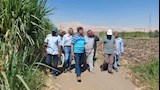 وفد وزارة الزراعة يتابع الجهود المبذولة في مكافحة الآفات بالأقصر (9)