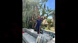 داليا البحيري