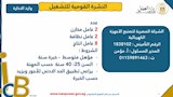 فرص عمل جديدة (7)
