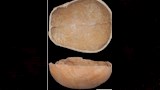 العثور على عظام بشرية مصنعة على شكل أكواب وأقنعة (5)
