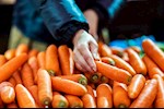 ضغط الدم والجزر.. ماذا يحدث عند تناوله بانتظام؟