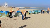 تنظيف شاطئ سيد دوريش في الإسكندرية (4)