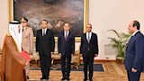 سفير الإمارات يقدم أوراق اعتماده إلى الرئيس السيسي