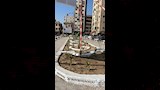 لتجميل الميادين العامة (7)