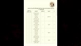 الهيئة الوطنية للانتخابات (4)