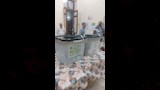 اللجان الانتخابية في أسيوط