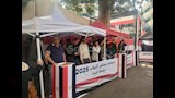 اليوم الثاني لانتخابات البرلمان (10)