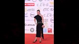 نجوم الفن والمجتمع في مهرجان القاهرة السينمائي (1)