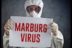 بعد انتشاره في إثيوبيا- هل وصل فيروس ماربورغ إلى مصر؟