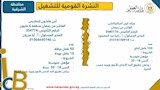 فرص عمل (13)