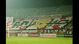 جماهير الزمالك (1)