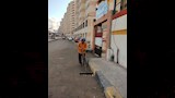 تنظيف وتجميل محيط اللجان في الإسكندرية (2)