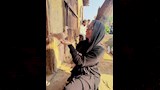 يارا السكري مع الحمامة (2)
